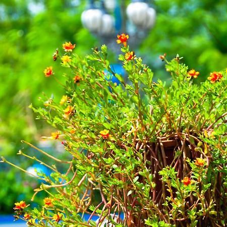 Haian Xian Homestay Huxi Bagian luar foto