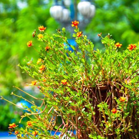 Haian Xian Homestay Huxi Bagian luar foto